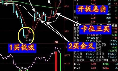 龙头股战法的选股思路_https://www.brunchezvous.com_旅游攻略_第1张