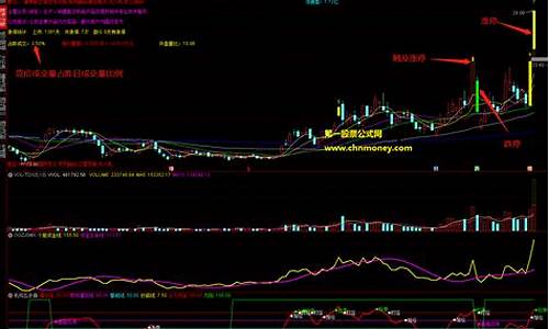 个股操盘指标怎么用(个股操盘指标公式)_https://www.brunchezvous.com_旅游景点_第1张