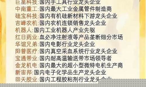 行业龙头是第一吗(行业龙头2)_https://www.brunchezvous.com_旅游景点_第1张