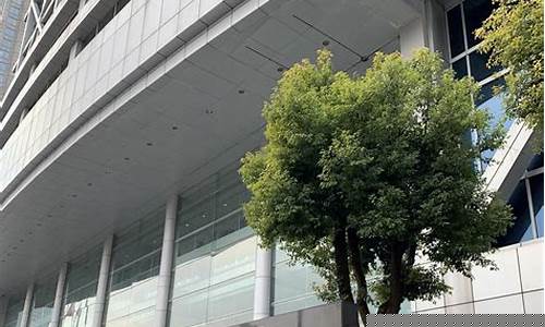 沪深证券交易所(沪深证券交易所的会员单位是什么)_https://www.brunchezvous.com_旅游景点_第1张