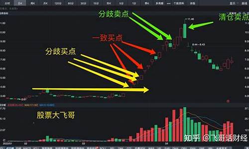 股票龙头战法是什么意思(龙头股战法精髓)_https://www.brunchezvous.com_自由行_第1张