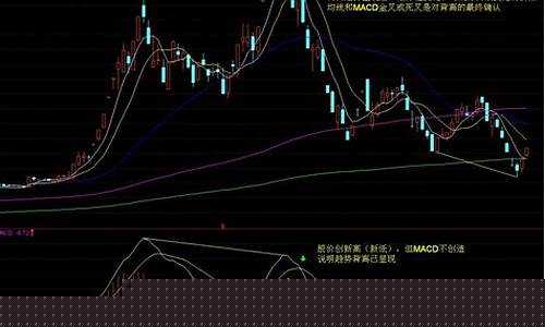 如何进行选择股票(如何进行选择股票分析)_https://www.brunchezvous.com_自由行_第1张