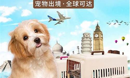 宠物托运平台app(宠物托运平台app有哪些)_https://www.brunchezvous.com_旅游景点_第1张