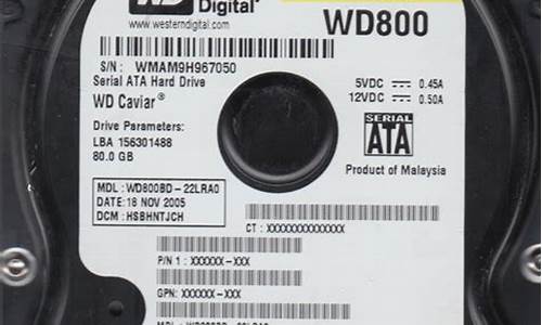 wd800bd硬盘参数(wd800硬盘是多大的)_https://www.brunchezvous.com_旅游攻略_第1张
