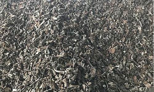 废钢破碎料期货在线直播(废钢破碎料现在什么价格)_https://www.brunchezvous.com_旅游攻略_第1张